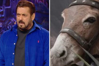 Bigg Boss 18: Gadharaj aka the donkey has been removed from the Salman Khan hosted show followed by PETA’s allegations : Bollywood News