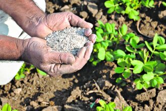 What challenges does India face in fertilizer imports?
