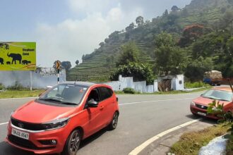 After tiger cub’s death, environmentalists call for speed restrictions on Kotagiri road in the Nilgiris