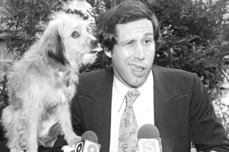 Daily Quiz | On Saturday Night Live