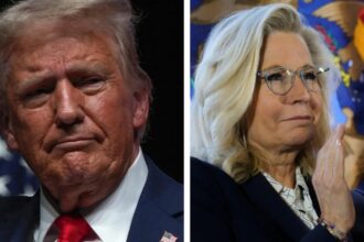 Trump on Liz Cheney: Donald Trump says Liz Cheney should have guns trained on her face | World News Trump on Liz Cheney: Donald Trump says Liz Cheney should have guns trained on her face | World News