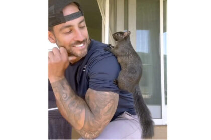 Peanut: ‘Treated me like terrorist, drug dealer’: Euthanised squirrel Peanut’s owner says his house was ransacked for five hours