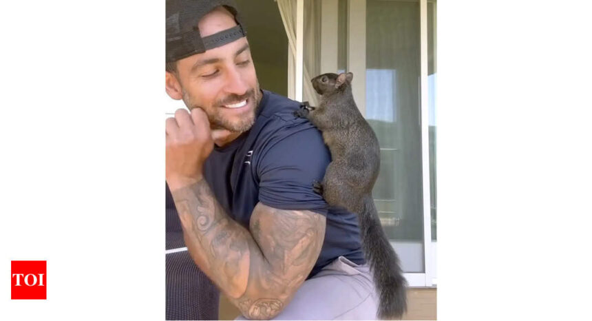 Peanut: ‘Treated me like terrorist, drug dealer’: Euthanised squirrel Peanut’s owner says his house was ransacked for five hours