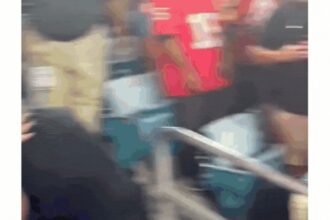 Watch: Officers throw punches in Georgia-Florida game chaos