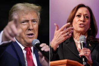 Trump Vs Kamala Prediction: Piers Morgan reveals who he thinks will win the US 2024 election: ‘Tiger Woods of politics is…’ Trump Vs Kamala Prediction: Piers Morgan reveals who he thinks will win the US 2024 election: ‘Tiger Woods of politics is…’