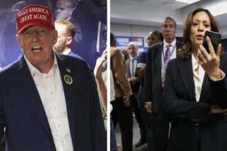 2024 US Election Results Live Updates: Decision desk HQ projects Donald Trump winner of US presidential election 2024 US Election Results Live Updates: Decision desk HQ projects Donald Trump winner of US presidential election