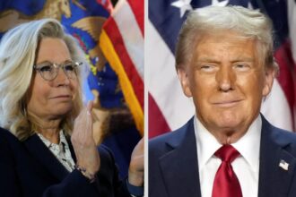 ‘Bad idea to bring losers’: Trump slams Democrats for involving Liz Cheney in 2024 election campaign