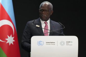 Gabon votes on new constitution hailed by junta as ‘turning point’