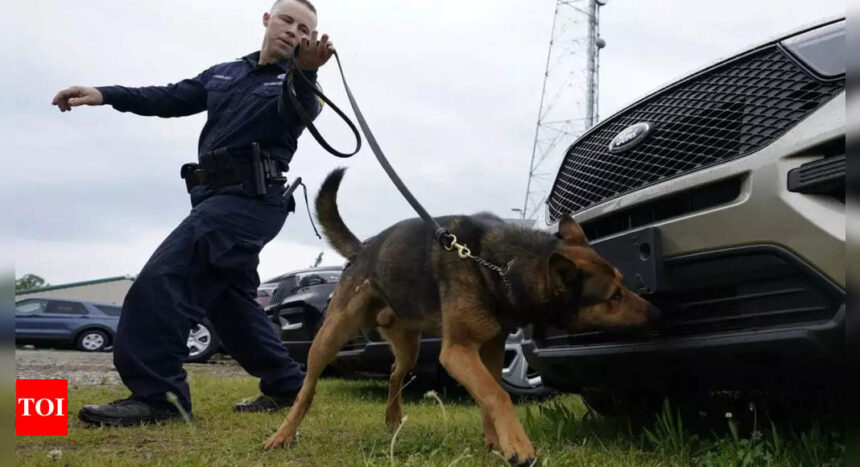 Calfornia city awards m to woman after police dog bites her | World News