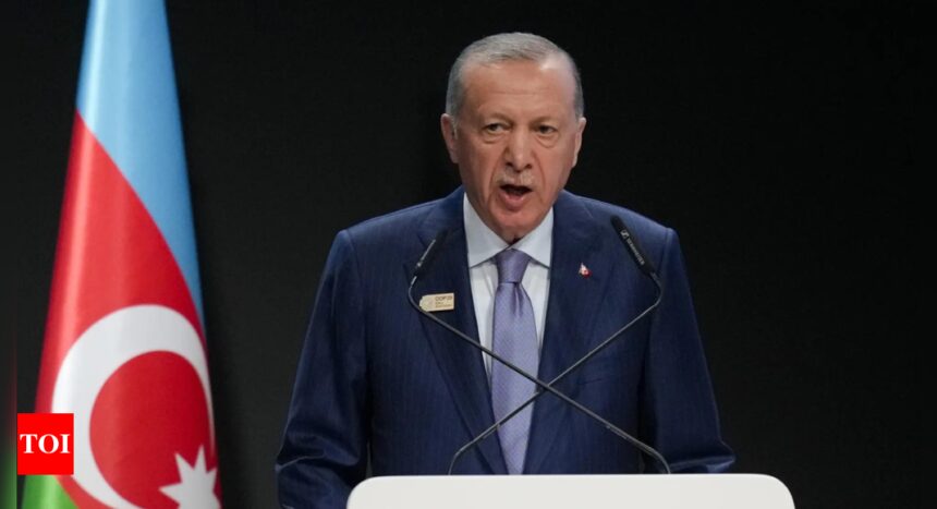 Turkey’s Erdogan to discuss Ukraine war with Nato chief