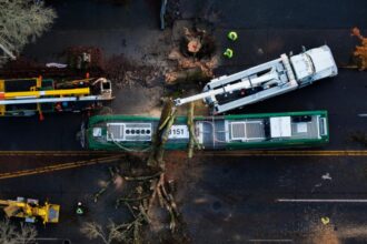 US Rains: Winter storms to bring rain, snow, and disruptions during Thanksgiving week across US | World News