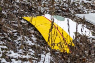 Pilot and rescue dog killed in remote woods in New York; two dogs survive