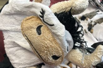 US man arrested at Los Angeles airport for smuggling meth soaked in over 30 kilograms of clothing | World News