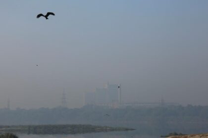 No conclusive data to establish direct correlation of disease exclusively due to air pollution: Govt