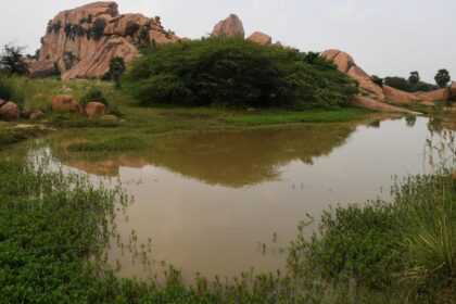 Arittapatti tungsten mining: T.N. CM Stalin urges PM Modi to cancel mining rights awarded to private firm