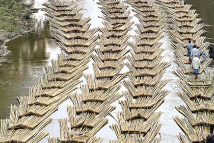 Incubation centres for bamboo-based startups in Northeast soon