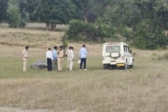 Bandhavgarh elephant deaths: High-level team by Madhya Pradesh CM Mohan Yadav finds no ‘conspiracy’ theory 