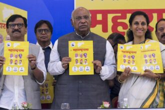 Maharashtra Assembly polls: MVA manifesto promises caste census, ₹3000 for women, says Kharge