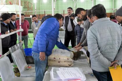 Uttarakhand bypoll results 2024: BJP leading in Kedarnath