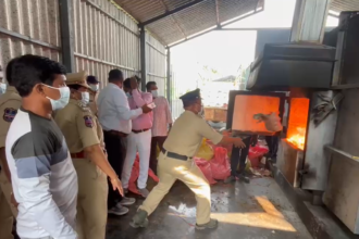 Telangana Excise dept incinerates 1,186 kilograms of marijuana worth ₹3 crore 