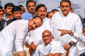 Maharashtra Assembly Results 2024 | Who is leading in the NCP battle?