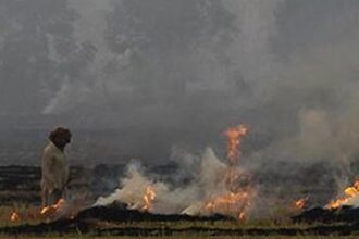 Why India’s farm fire counting method is disputed