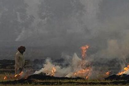 Why India’s farm fire counting method is disputed