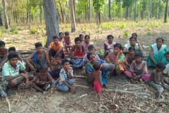 Maoist violence: ST panel urges Centre, States to submit detailed report on status of Gotti Koya tribals