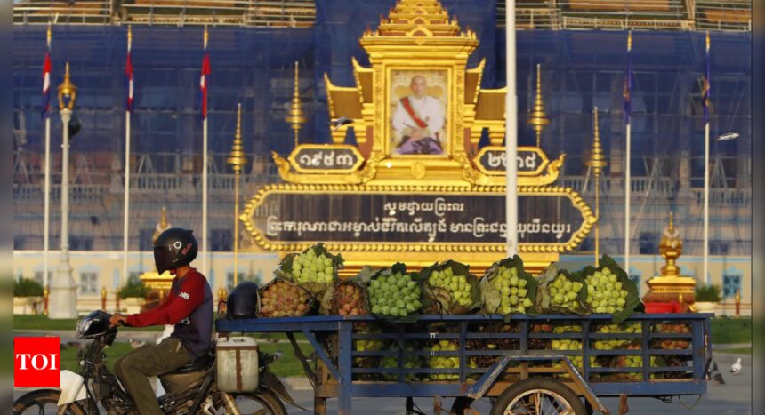 13 women convicted in Cambodia of acting as surrogates for foreign clients