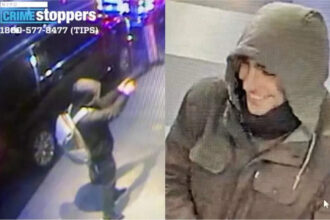 Brian Thompson: How UnitedHealthcare CEO’s assassin became America’s new thirst trap | World News