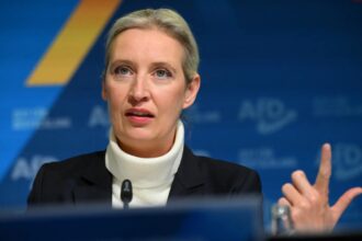 German far-right AfD leader is Chinese-speaking lesbian economist