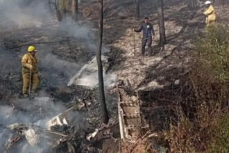 Seven killed after small aircraft crashes in western Mexico