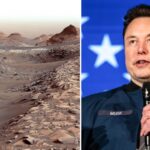 Mars or new world? Elon Musk’s bold plan to redefine humanity’s future on red planet