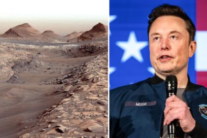 Mars or new world? Elon Musk’s bold plan to redefine humanity’s future on red planet