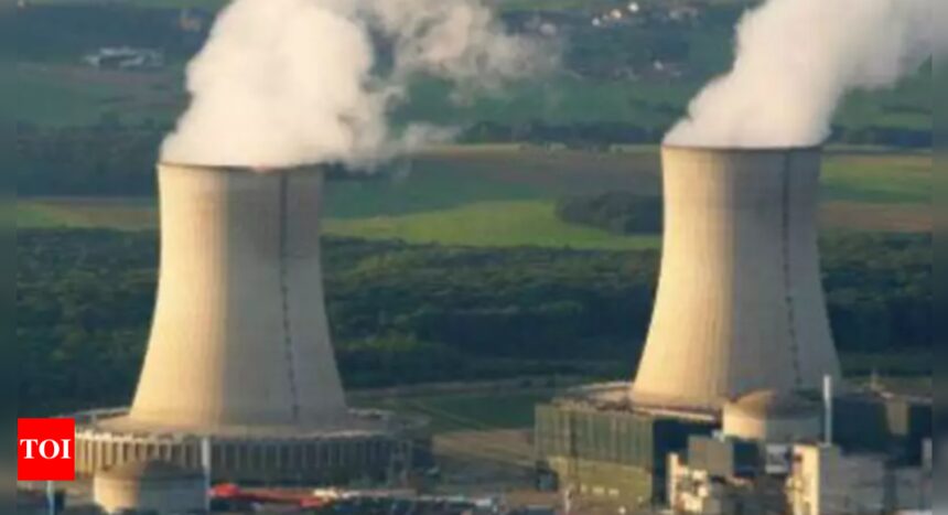 Pakistan to construct ‘largest’ nuclear plant with Chinese design