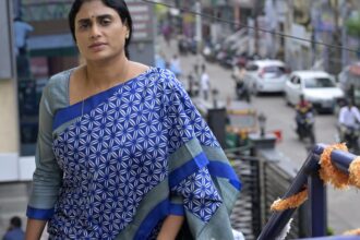 Naidu should focus on achievement of Special Category Status and other promises instead of harping on ‘Vision 2047’, says Y.S. Sharmila