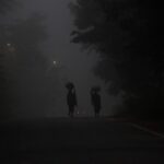 13 towns in Odisha record minimum temp below 10 degree Celsius