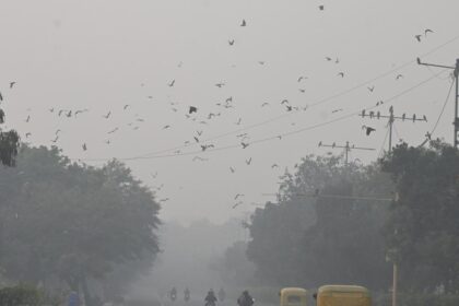 Delhi air pollution: Supreme Court not to relax GRAP-4 restrictions unless AQI shows ‘downward trend’