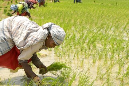 Why agri-tech might need a different approach to boost innovations