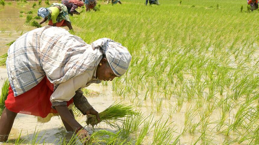 Why agri-tech might need a different approach to boost innovations