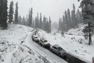 Kashmir reels under intense cold conditions; Srinagar experiences coldest night