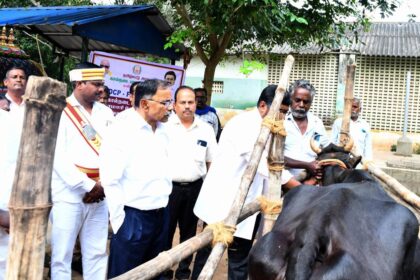 Vaccination drive for cattle against foot-and-mouth disease gets under way in Mayiladuthurai