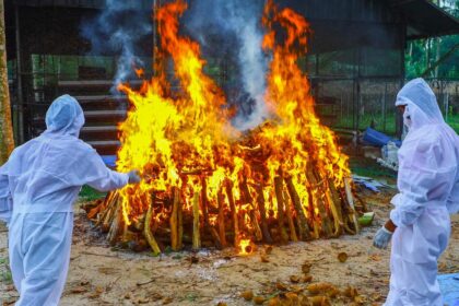 Months after bird flu outbreak in Kerala, poultry farmers still await compensation