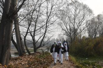 Why is there a drop in school enrolments? | Explained