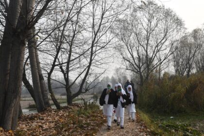 Why is there a drop in school enrolments? | Explained