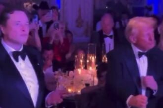 Watch: Viral moment of Elon Musk and Donald Trump dancing together at New Year’s party