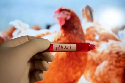 First human death from H5N1 bird flu reported in US’ Louisiana