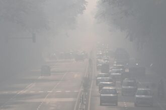 Delhi air pollution: SC to consider extending order for colour-coded stickers for vehicles beyond NCR